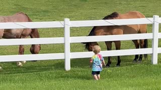 Little Boy Calls His Horse Friends to Him