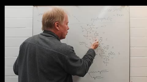 Covid Vaccine: The Chemistry of the Nanoparticle Core - Chemistry of Medicinal Drugs 2