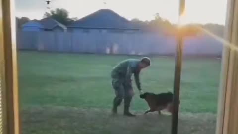 Dog Reunites With Deployed Owner