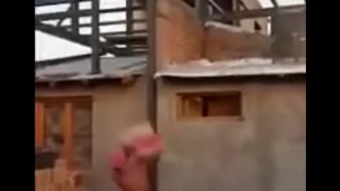 Man fell Hilariously🤪🤣when his coworker thrown cement sack from above