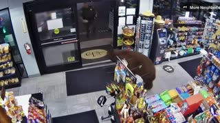 Bear steals Candy