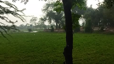 Rain in farm house