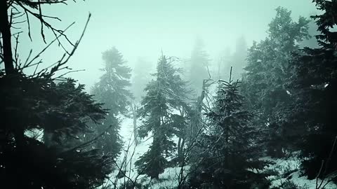 Snowstorm Blizzard Wind Sounds For Sleeping, Relaxing ~ Calm Snow Arctic Howling Winter Ambience