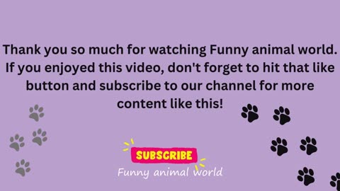 Funny cat videos 2024 | Funny animal videos | cats fail moments 2024 | try not to laugh