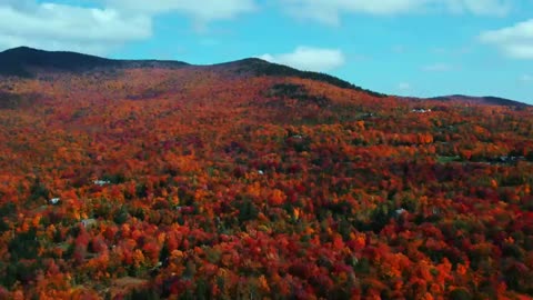 The Beauty of Peak Fall Foliage 🍁 Autumn in New England Part 1-20