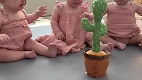 Triplets Cry At Talking Cactus Toy😂