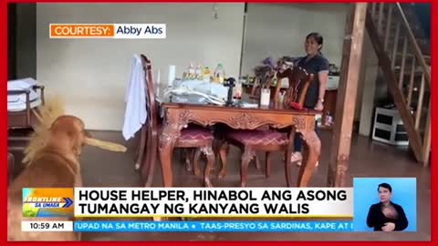 House helper, hinabollang asong tumangay ng kaniyang walis