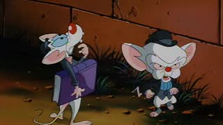 Pinky e o Cerebro - Temporada 01 - Episodio 10 - A Volta ao Mundo