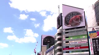 Giant 3D dog appears on Tokyo billboard
