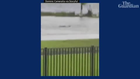 'Shark' spotted swimming in flooded Florida neighbourhood