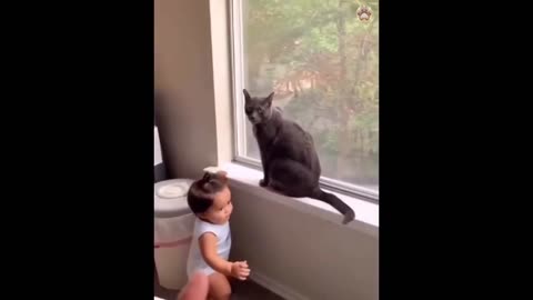 New funny cats - playing cats funny cats with baby