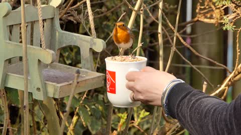 Robbie Drops In For A Treat.