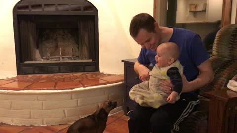 Cute baby can't stop laughing at jumping puppy