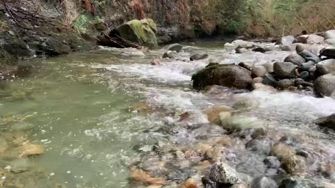 Kanaka Creek ~ Peaceful Waters