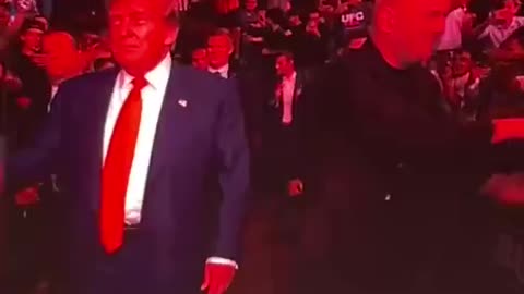 UFC Crowd Goes Wild for Trump