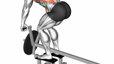 Sculpt Your Back #backexercises #fitnessgoals #strengthtraining #sculptedback #backday #shorts