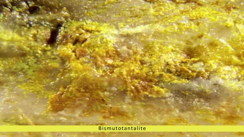 Bismutotantalite - Gemstones TV
