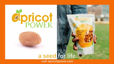 Apricot Seeds - A seed for life