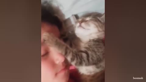 Cute Cats And Their Owners Sleep Together