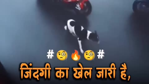 Bike racing sad 🐶 Dog🐕 🥺🐕🥺🤣