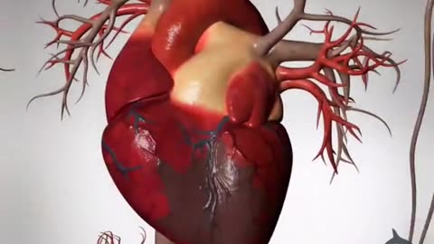a short clip showing heart attack the myocardial infarction cardiac failure