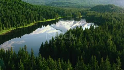 AERIAL Calm surface of a lake in the forest