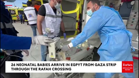 WATCH- 26 Neonatal Babies Arrive In Egpyt From Gaza Strip Through The Rafah Crossing