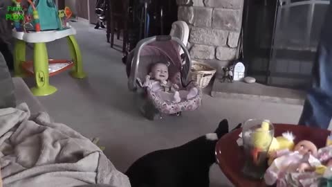 Funny Babies Laughing Hysterically at Dogs Compilation_p6