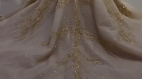 The beautiful gown