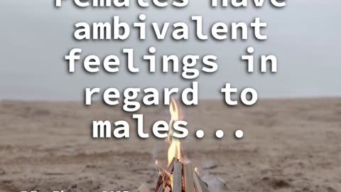 Beach Fire Ambience - Psychology Fact - Facts About Girls - Relaxing Sounds for Stress Relief