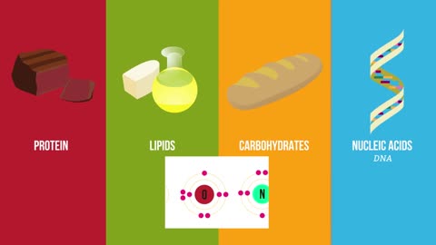 How to loose fat without sacrificing your favorite food?