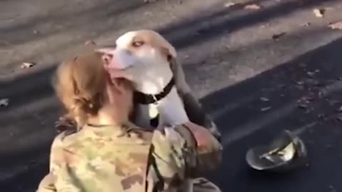 The Moment This Dog Realised His Owner Was Back From The Army!