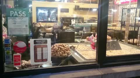 Mice invade pastry shop in Toronto