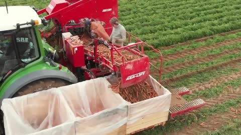 Carrot Juice Making Process | Modern Carrots Harvesting Machine | How Carrot Juice Is Made