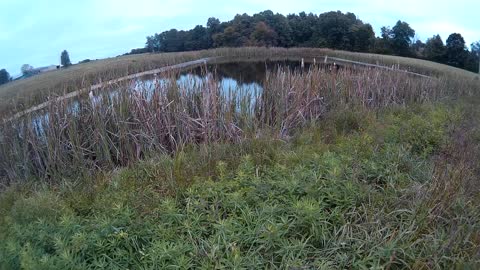 Relaxing and peaceful farm pond