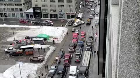 Truckers Stand Their Ground in Downtown Ottawa Streets