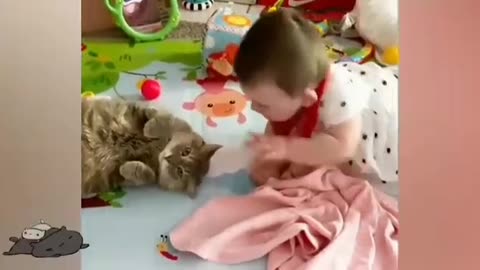 cute baby animals doing funny things