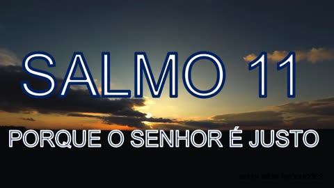 SALMOS 11