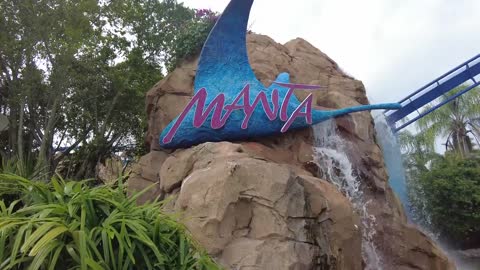 Top Things to Do at SeaWorld Orlando You Can’t Miss!