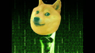 $PLSD Matrix PulseDogeCoin 'Laughing'