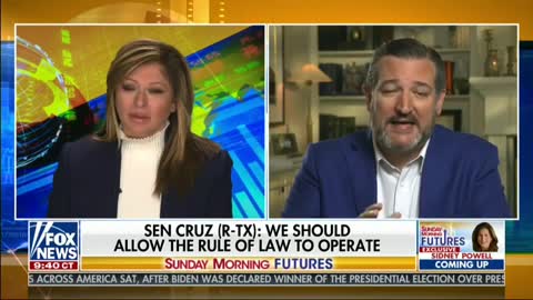 Sen Cruz Software That Switched Trump Votes To Biden Is Used Throughout MI & “Needs To Be Examined”