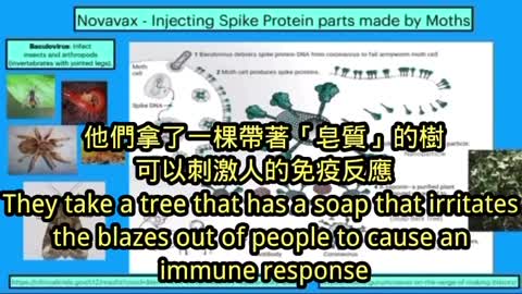 英國🇬🇧最近通過了Novavax的疫苗了，所以重新複習一下Covid 疫苗Novavax的技術…