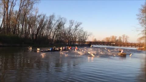 Rowing Team Attacked By Flying Asian Carp Fish