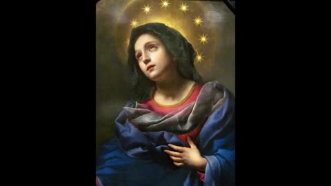 Fr Hewko, Feast of Immaculate Conception of B.V. Mary 12/8/22 (MA) [Audio]