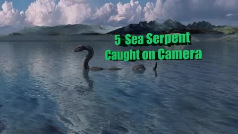 SEA SERPENT CAUGHT ON CAMERA