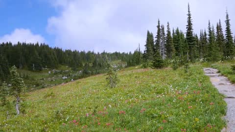 Mount Rainier National Park - Nature Relax Video