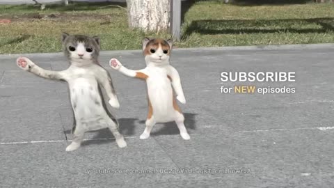 Cut Cats Dancing 🤣🕺 #Cats #petslover
