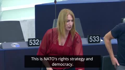 NATO’s Handling Of Ukraine Crisis May End In Disaster — MEP