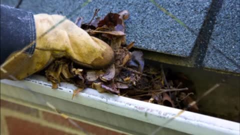 Quality Gutter Cleaning of Spring - (281) 595-0801