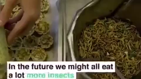 WEF - Eat Insects 45 sec